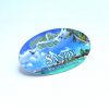 Oval-Name-Logo-Plastic-Paradise-Beach-Getaways